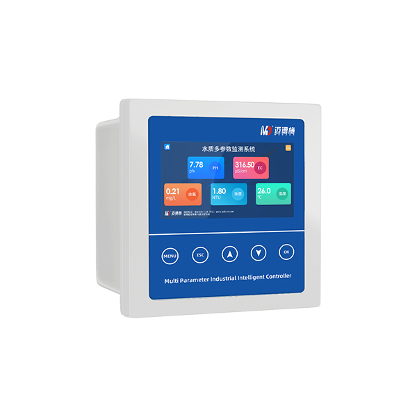 在线汞检测仪 在线汞检测仪